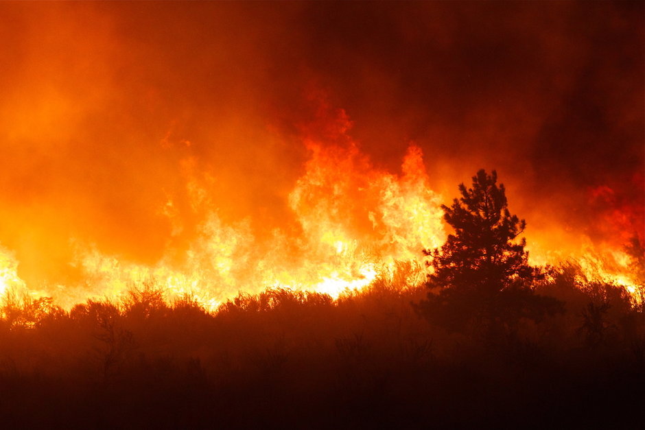 California's Advanced Wildfire Alert System Continues Expansion - Vimarsana News