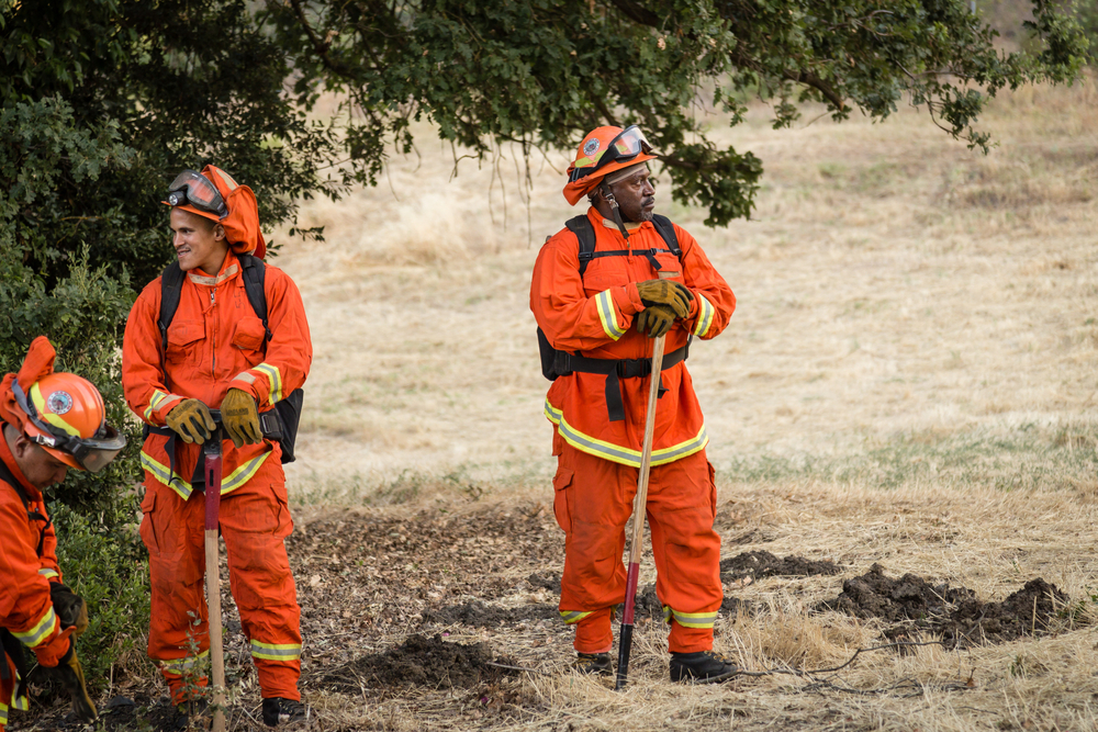 Glitch Complicates Release of California Prison Firefighters - Vimarsana News