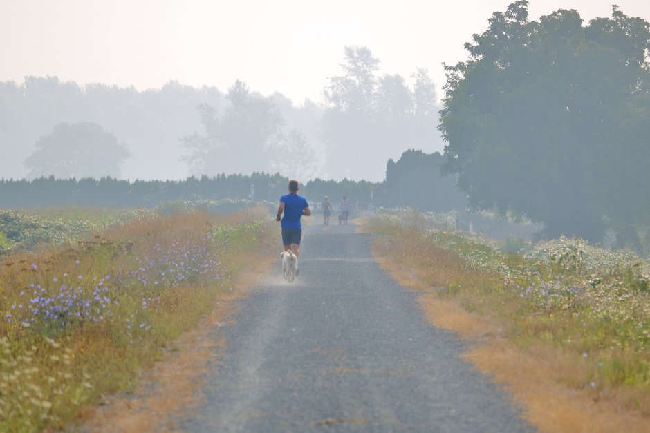 The Smoke Is Clearing, but We Still Need to Talk About Air Quality - Vimarsana News