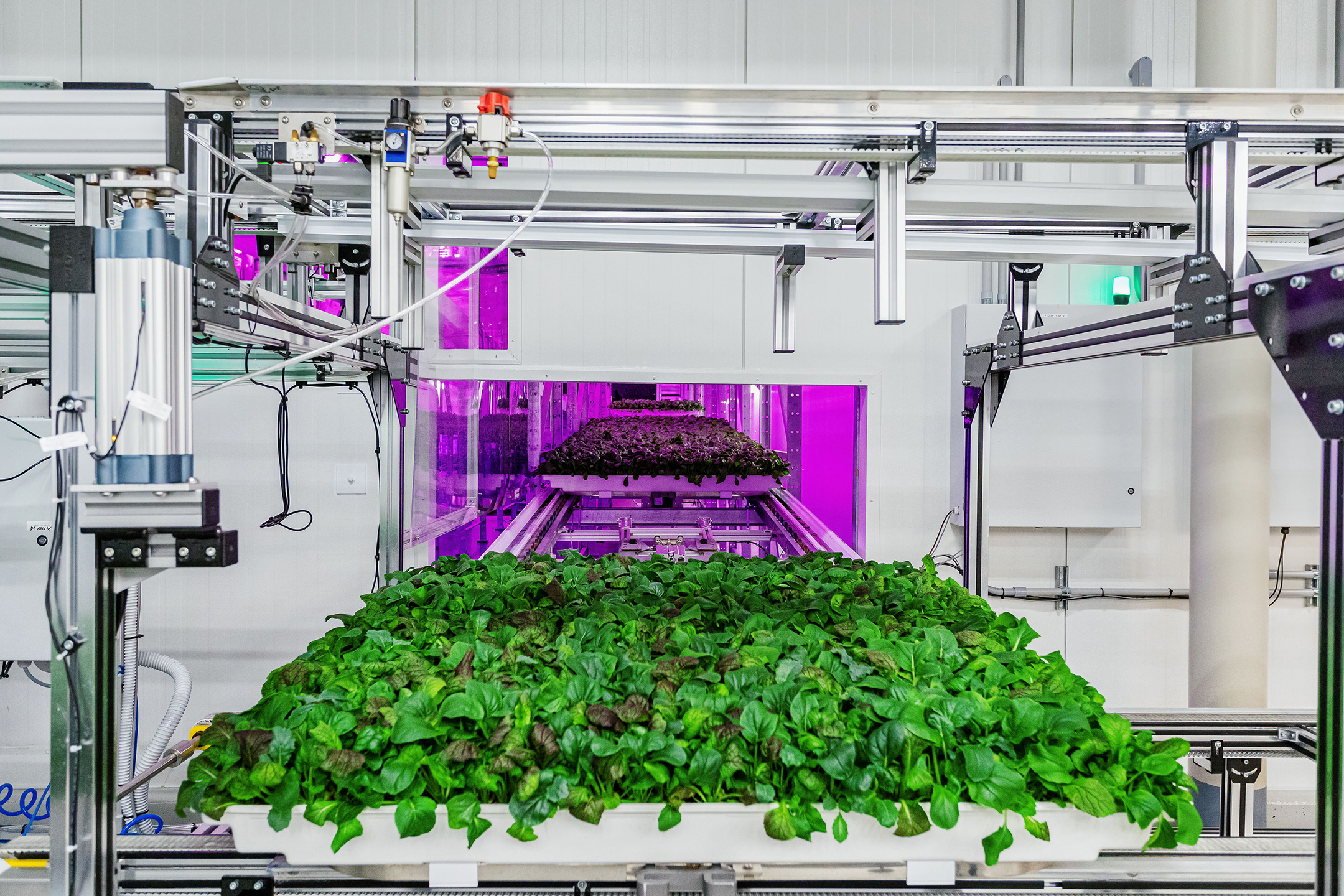 Robots Take Vertical Farming to New Heights - Vimarsana News
